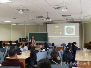 中國民協(xié)民間文藝小分隊(duì)赴臺(tái)文化交流總結(jié)