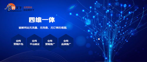 傳統(tǒng)企業(yè)如何借力全網(wǎng)營(yíng)銷，擁抱互聯(lián)網(wǎng)銷售變革